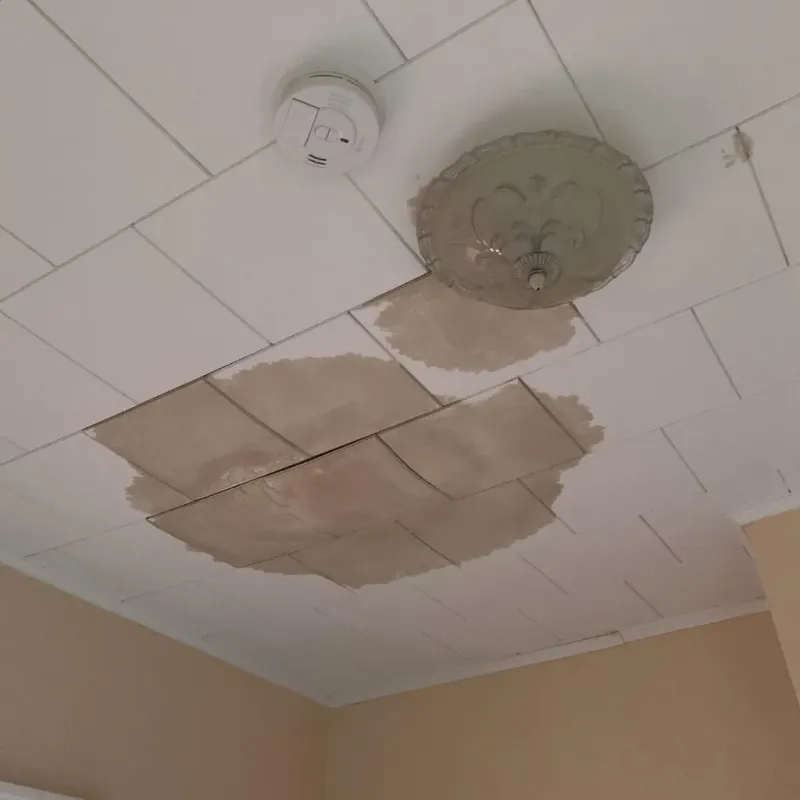 Ceiling Water Damage Repair in Waite Park, MN