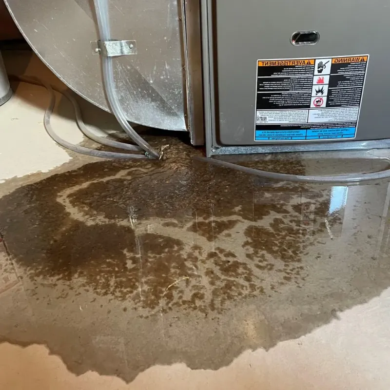 Pipe Burst and Leak Restoration in Waite Park, MN